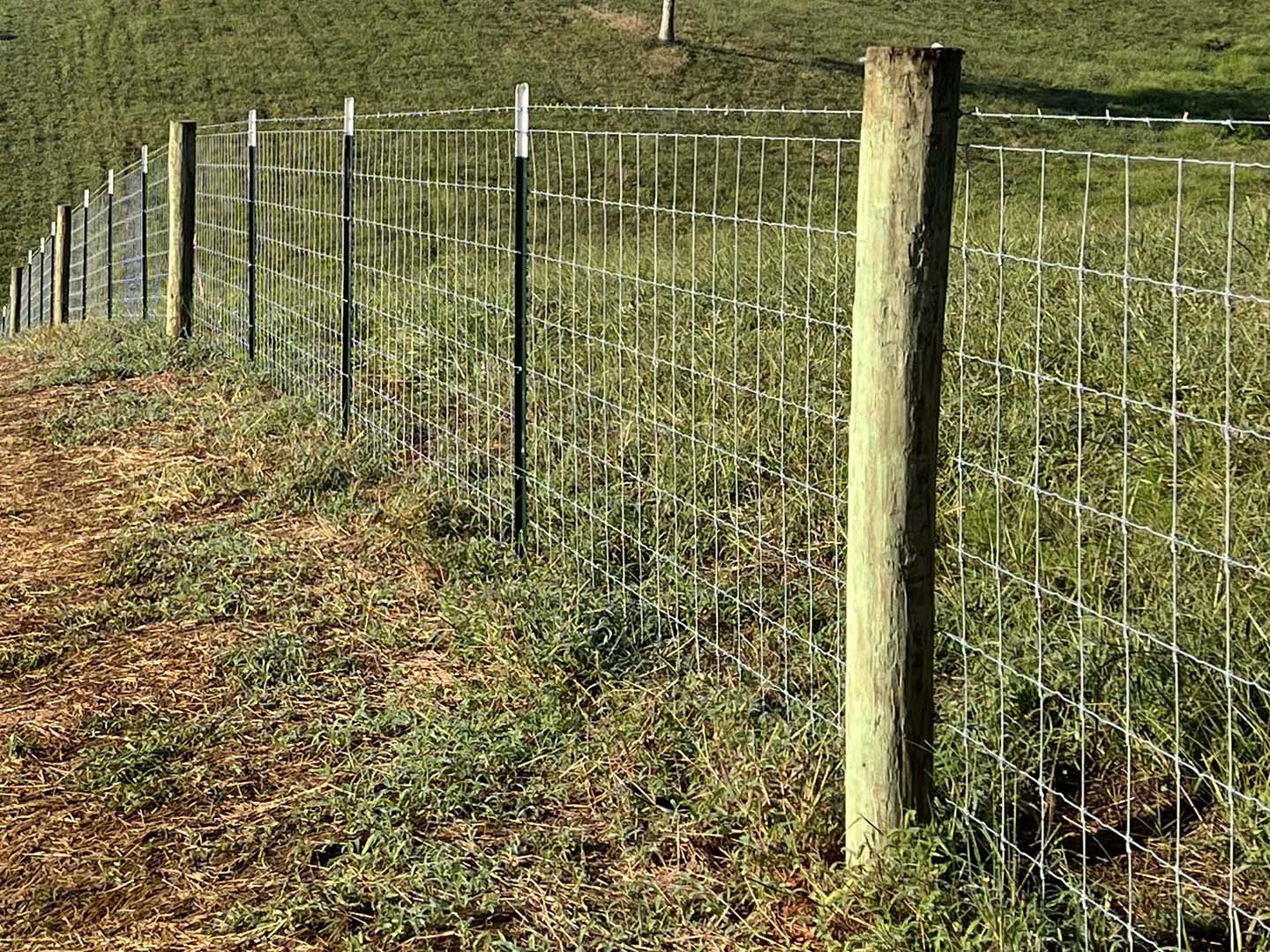 Bremen Georgia Wire fencing